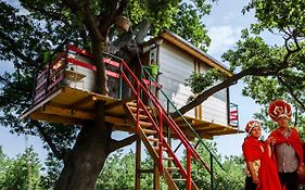 Casa sull'Albero